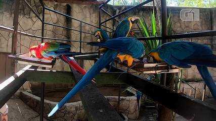 Animais recebem alimentação balanceada e com cuidados especiais Animais recebem alimentação balanceada e com cuidados especiais
