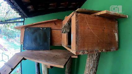 Logan gosta de ficar na casinha, que tem um isolamento térmico Logan gosta de ficar na casinha, que tem um isolamento térmico