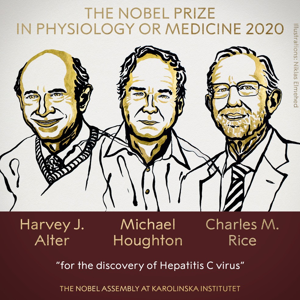 Harvey J. Alter, Michael Houghton e Charles M. Rice são os ganhadores do Prêmio Nobel 2020 em Medicina, anunciou a Academia Sueca nesta segunda-feira (5), pela descoberta do vírus da hepatite C. — Foto: Nobel