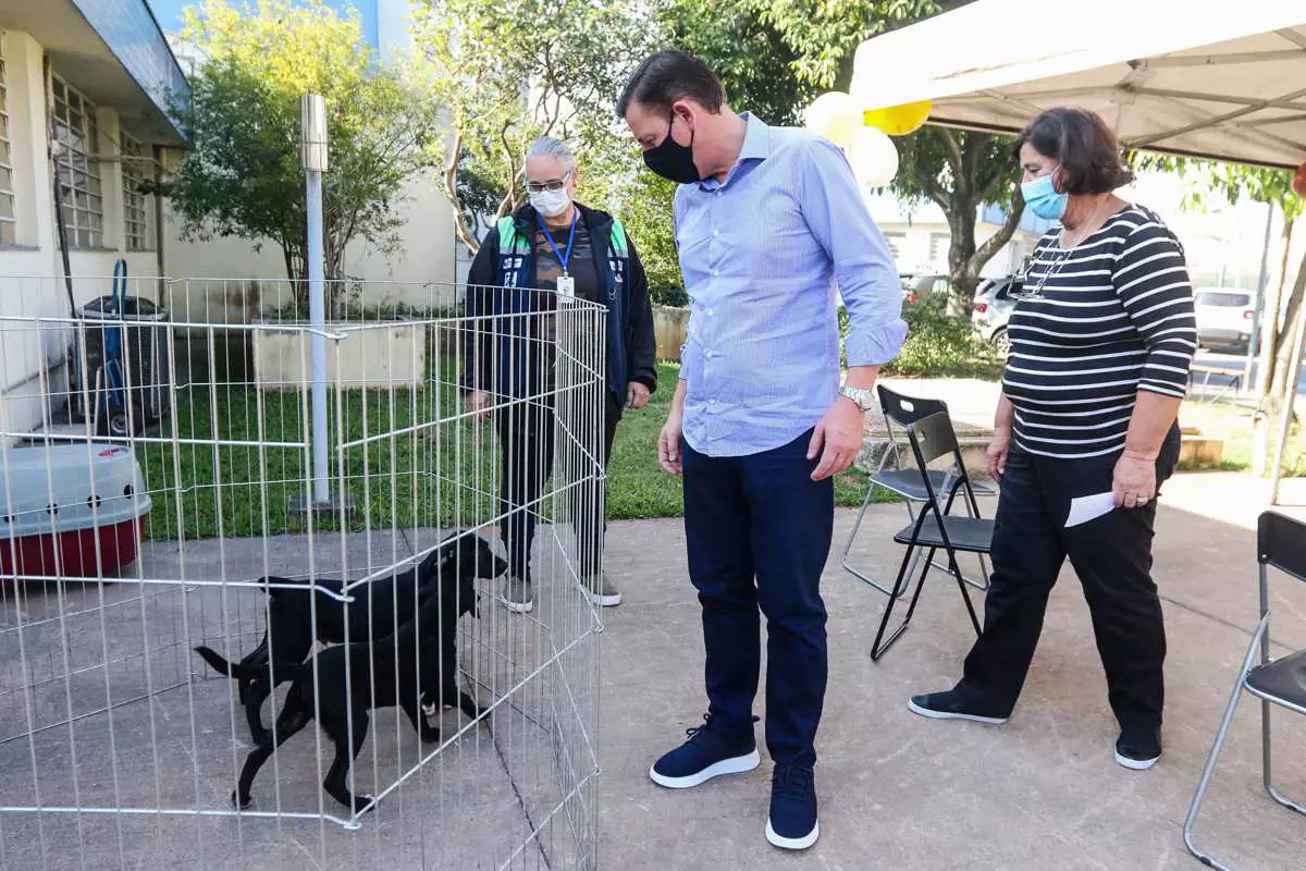 CCZ de São Bernardo realiza feira de adoção de pets neste sábado