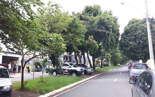 Polícia apura maus-tratos de monitora de escola a criança com Síndrome de Down em Campinas