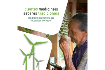 Renova Energia comemora 10 anos de publicação de livro que reúne histórias e preserva conhecimento sobre plantas medicinais do semiárido