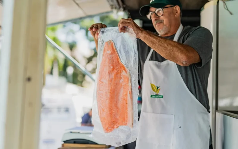 Descubra como identificar peixe fresco em 5 passos e garanta uma Semana Santa segura.