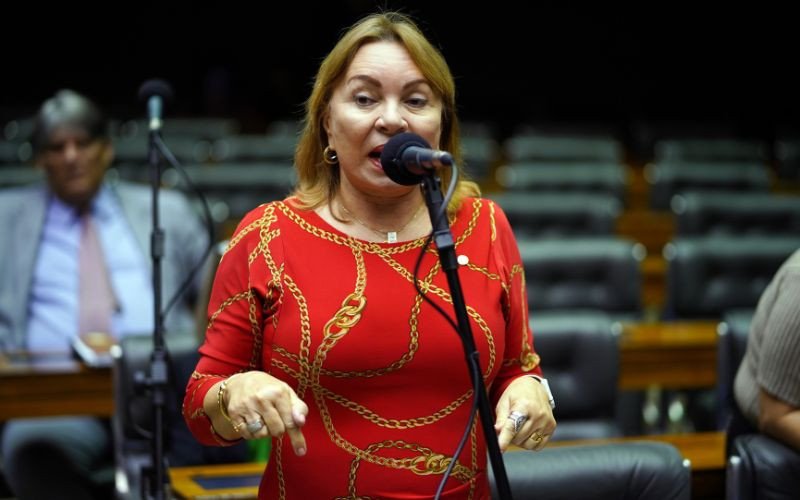 Operação investiga fraude no INSS e deputada do PL é colocada em prisão domiciliar