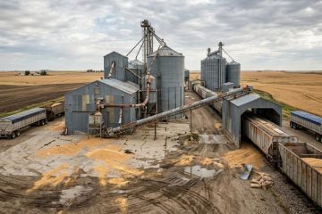Desafios e obrigações na mediação de commodities agrícolas