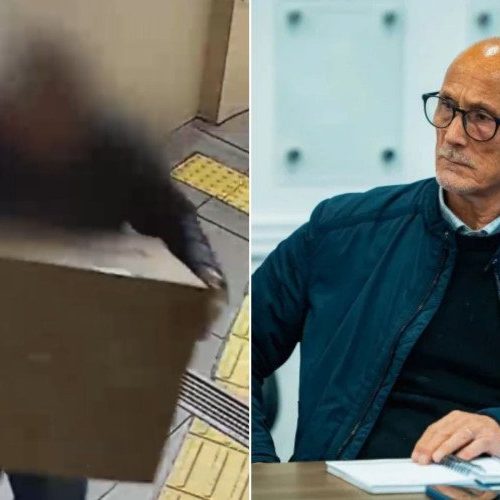 Secretário de Segurança revela identificação do responsável pela entrega de caixa com cachorro morto a vereadora
