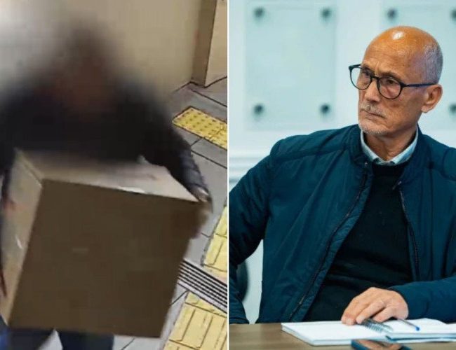 Secretário de Segurança revela identificação do responsável pela entrega de caixa com cachorro morto a vereadora