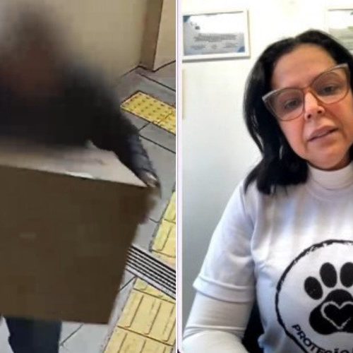 Vereadora afirma conhecer a responsável pelo envio de caixa com cachorro morto e a classifica como psicopata
