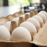 Anvisa esclarece rumores sobre ovos e reforça alerta à população contra plásticos e petróleo