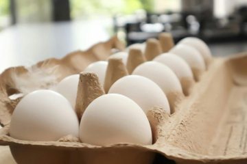 Anvisa esclarece rumores sobre ovos e reforça alerta à população contra plásticos e petróleo